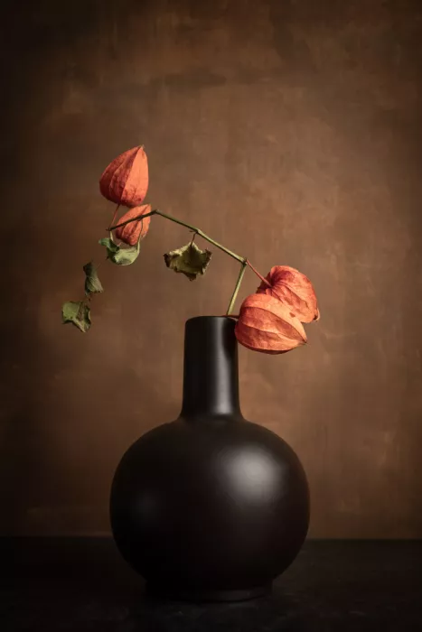 Franke, Ruth: Minimalismo