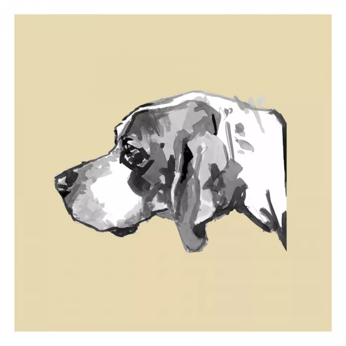 cartissi: Un perro muy moderno nº 4
