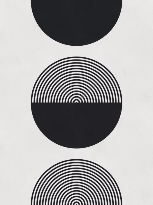 Costa, Vitor: Lines and circles 2