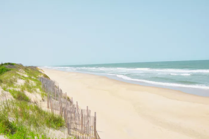 Morris, Jemma: Obx