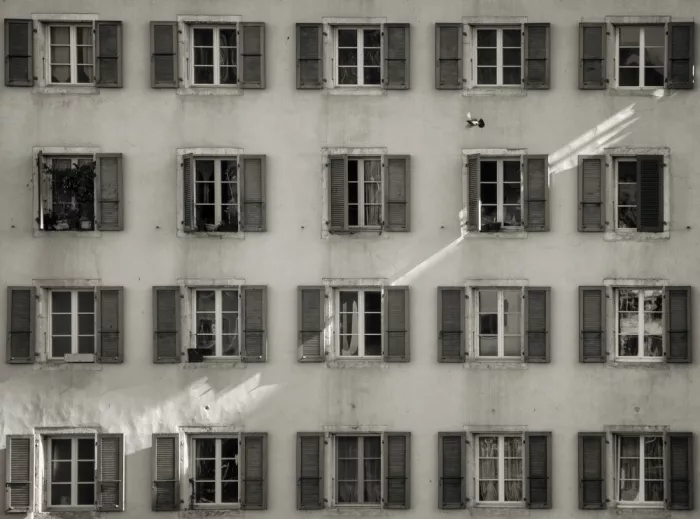 Heg, Zina: 5x4+1 pigeon