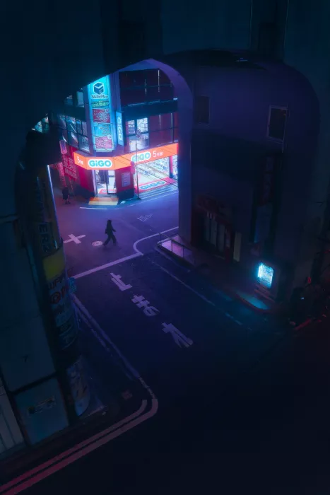 la, De Javier: Tokyo Night Blues