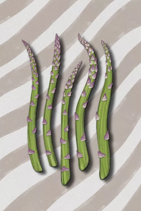 EMELIEmaria: Asperge