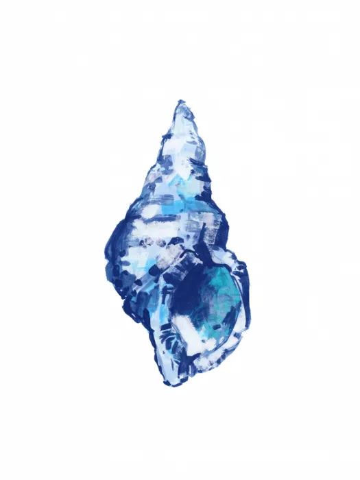cartissi: Concha azul sobre fondo blanco nº 2