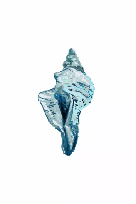 cartissi: Concha azul sobre fondo blanco n.º 4