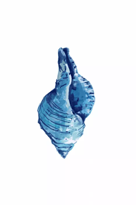 cartissi: Concha azul sobre fondo blanco nº 3