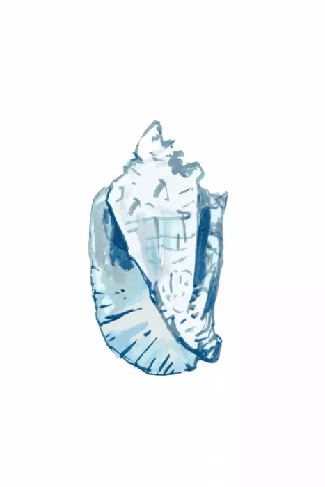 cartissi: Concha azul sobre fondo blanco nº 6