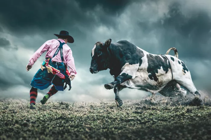 Ma, Frank: Tanz mit dem Stier