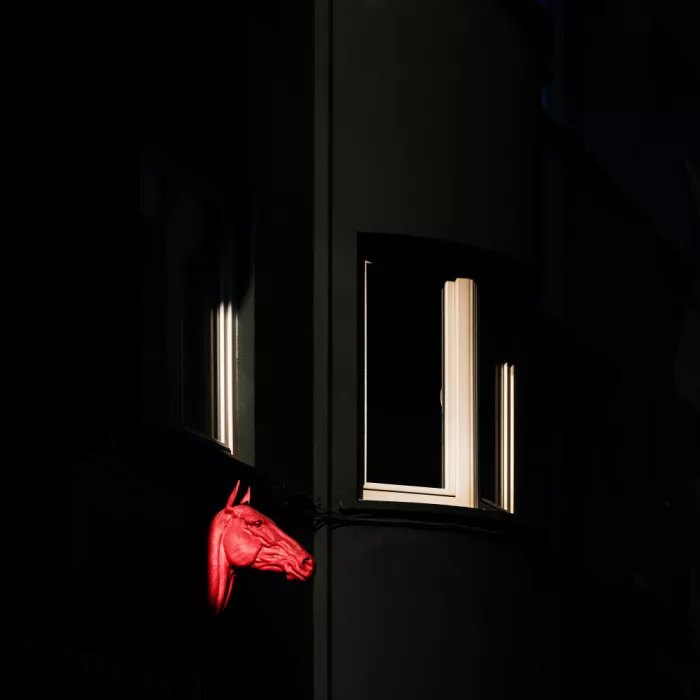Endermann, Rolf: Caballo rojo