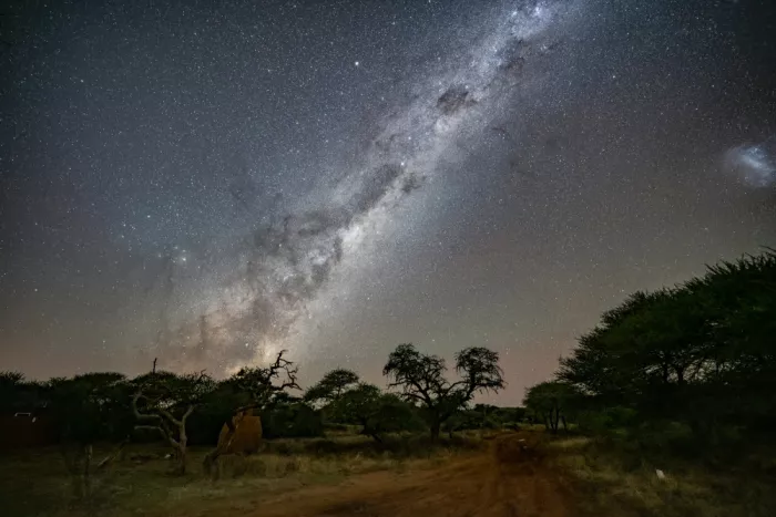 Steenkamp, Etienne: Milky Way over African Bush