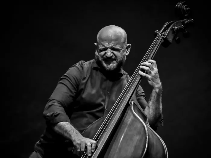 Nedici, Dragoslav: Victor Shestak