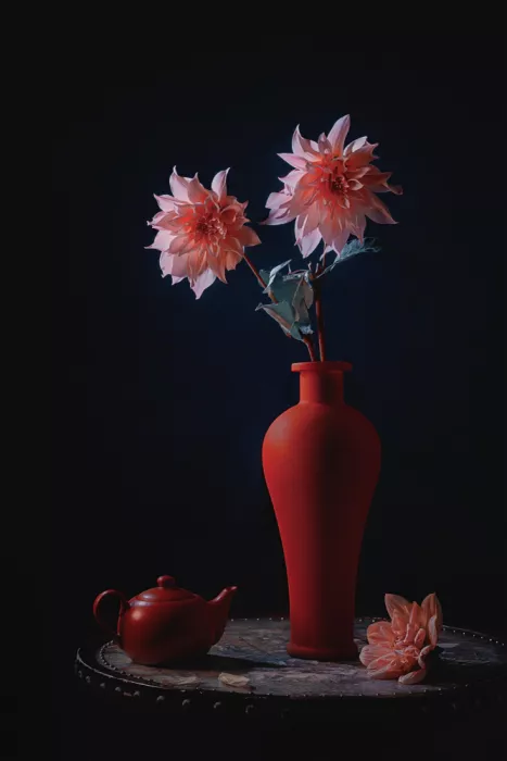 Jacobs, Lydia: Dahlia d