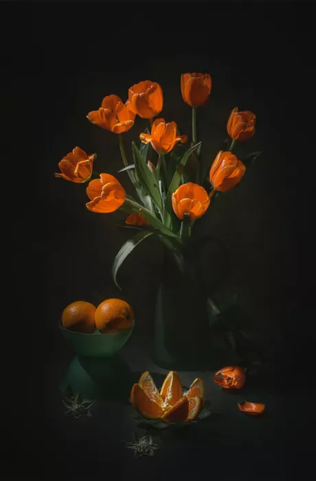 Jacobs, Lydia: Arancia e tulipani