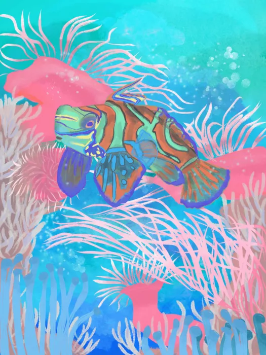 Putrus, Aliya: Pesce mandarino
