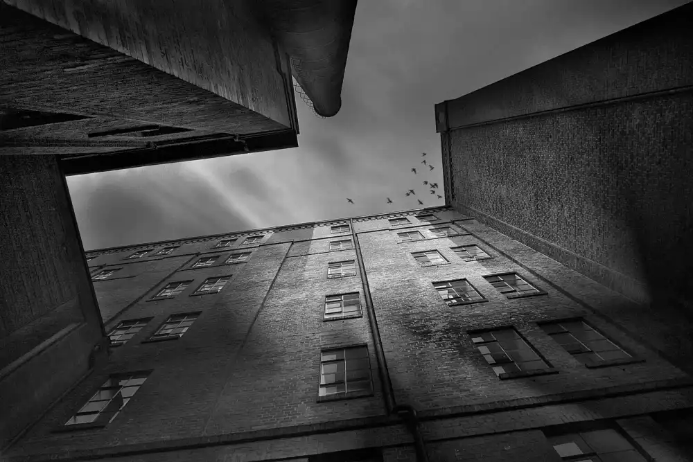 Droste, Holger: Stadt des Schattens