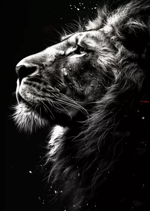Jaszke, Justyna: Lion Black and White Watercolor Animal Art