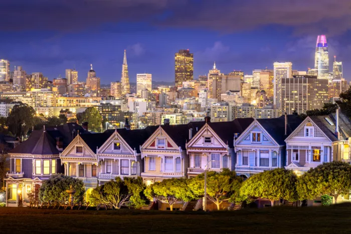 Patel, Mayank: Painted Ladies San Francisco