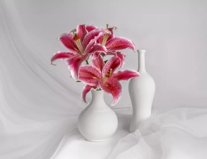Perfoncio, Margareth: Beauty of nature