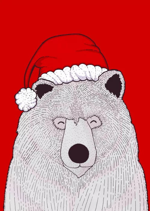 Wade, Stephen: Santa red bear