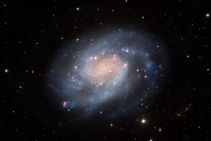 Chander, Vikas: Eine Pinwheel-Galaxie