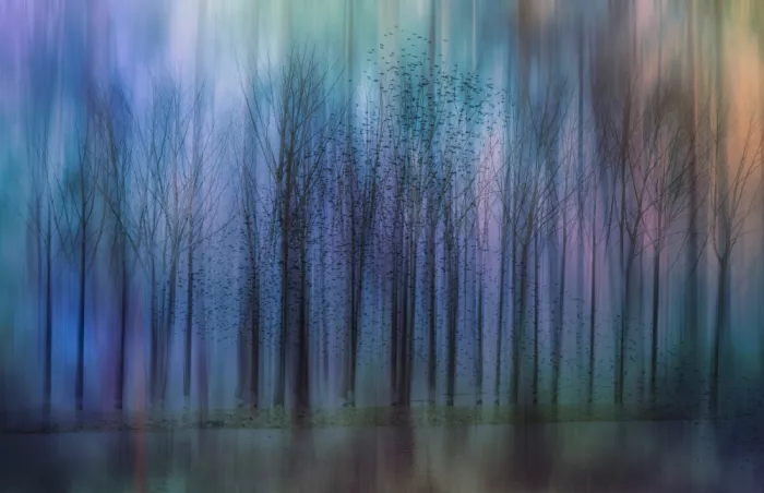 Lee, van Hilda: Senza titolo