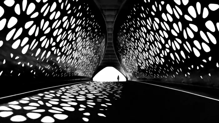 Scheunders, Jan: bicycle bridge
