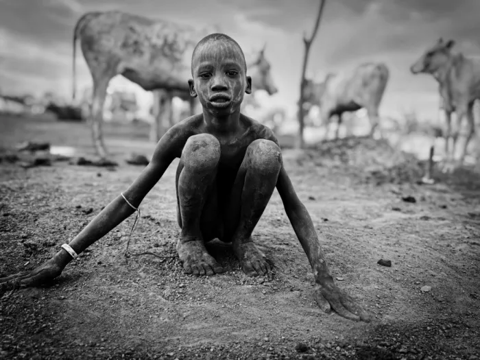 Yosifov, Svetlin: Mundari cattle Coda