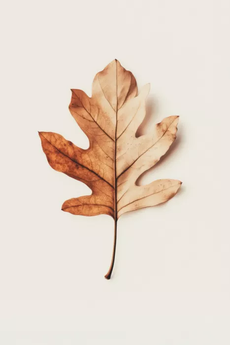 Treechild: Autumn Whisper