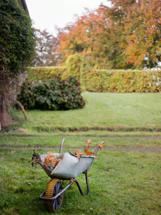 Zwart, Raisa: Herbst-Schubkarre | Rustikale Herbstgartenszene