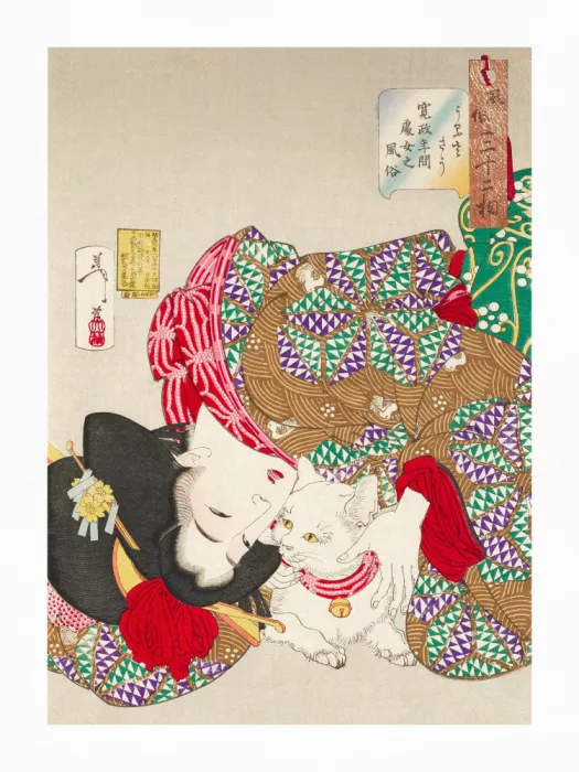 Yoshitoshi, Tsukioka: Woman With Pet Kansei Era (1888)    Boarder   By Tsukioka Yoshitoshi