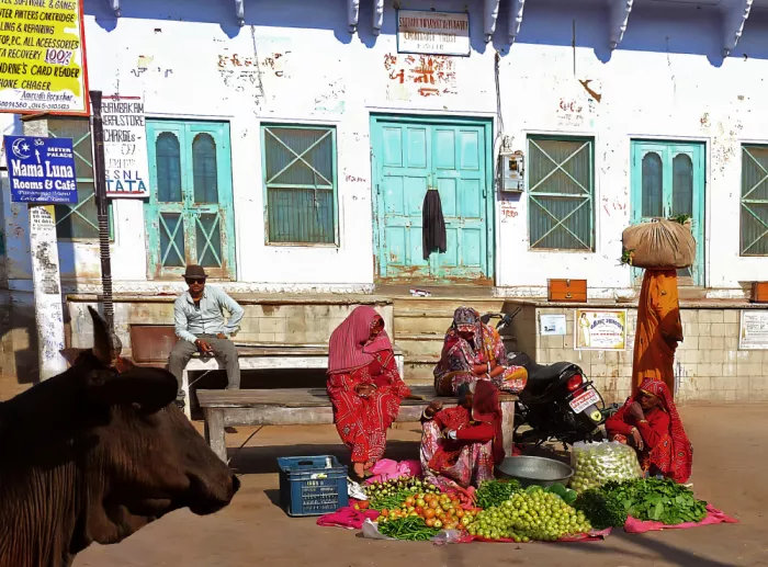 Pizzocaro, Giorgio: Kleiner Markt in Pushkar