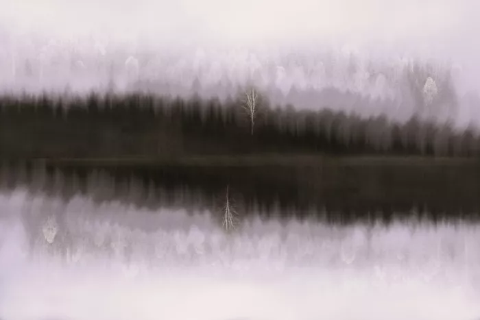 Sillen, Christina: Klidná les