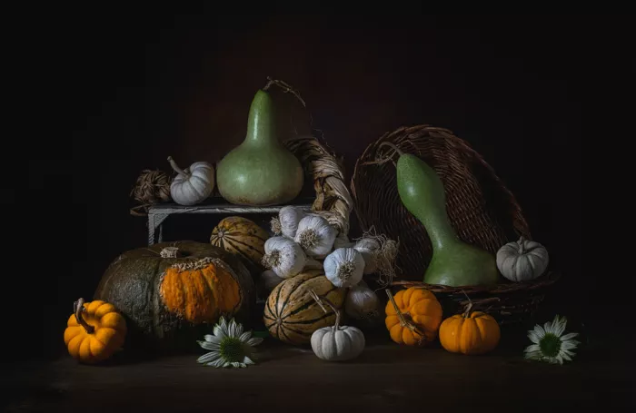 Jacobs, Lydia: Raccolta di zucche