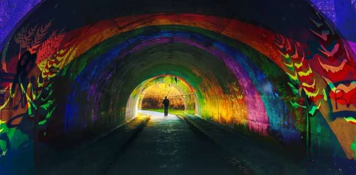 Gong, Yanyan: Tunelové vidění
