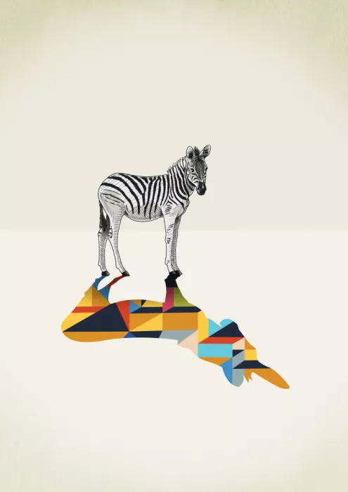 Ratliff, Jason: Procházející stín, Zebra