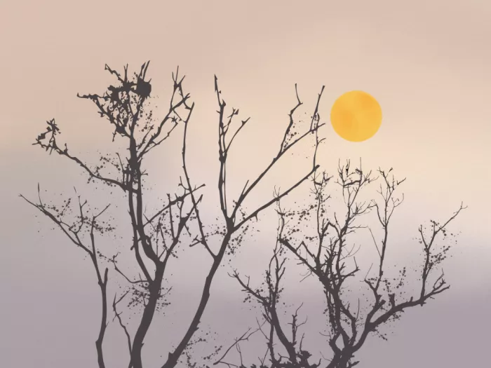 Dean, Little: The Serene Beauty of Nature at Dusk