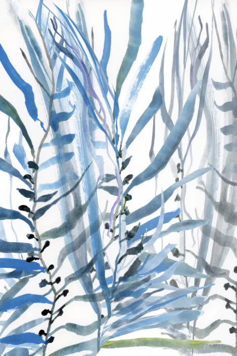 cartissi: Algas Azules n.º 2