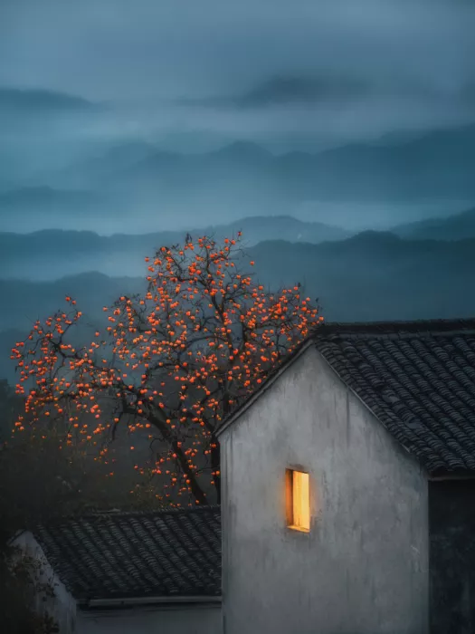 Cui, Yuan: Chákoi, Ruyi