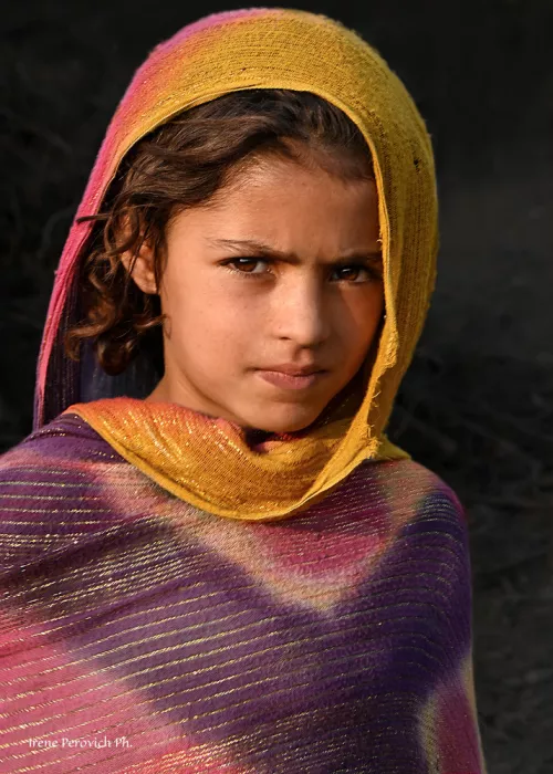 Perovich, Irene: Niña afgana - Campamento de refugiados afganos