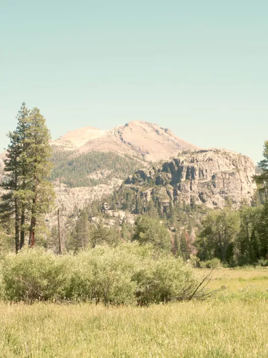 Bardot, Gemma: Kennedy Meadows