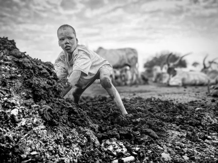 Yosifov, Svetlin: Mundari child collects cow dung