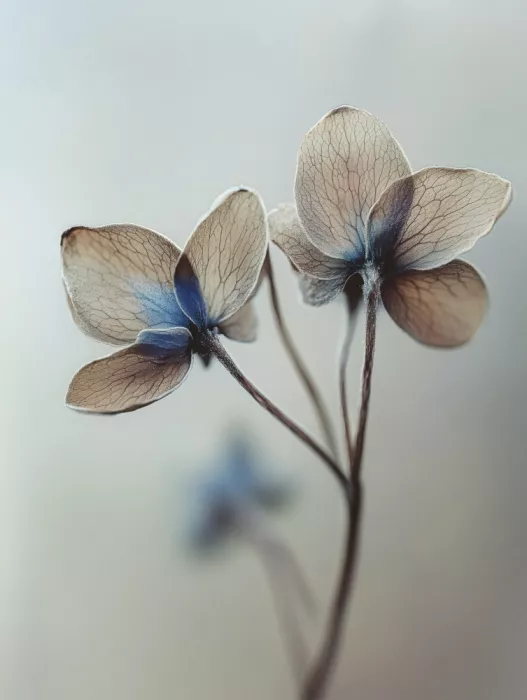 Treechild: Whispers of Petals