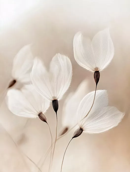 Treechild: Ethereal Blossoms