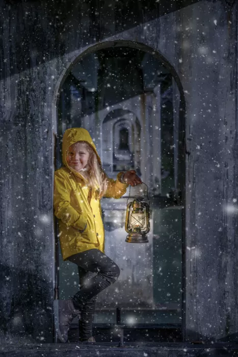 Šimic, Joško: First snow