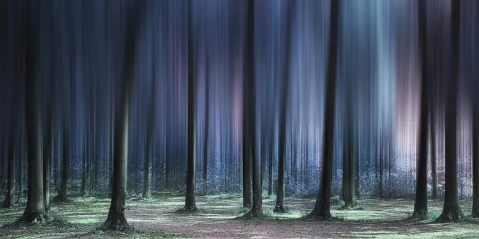 Eßig, Michael: Fairytale Forest