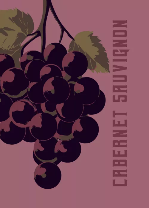 Magnusson, Andreas: Cabernet Sauvignon