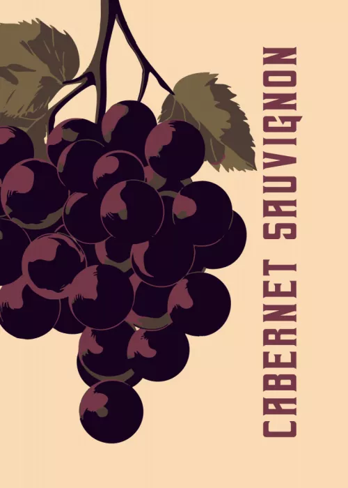 Magnusson, Andreas: Cabernet Sauvignon