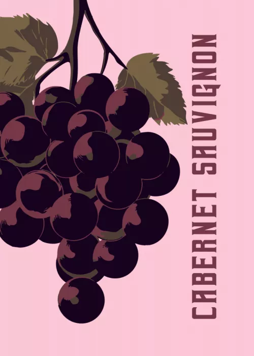 Magnusson, Andreas: Cabernet Sauvignon