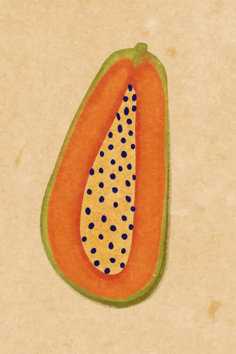 Oltmanns, Raissa: Papaya semplice