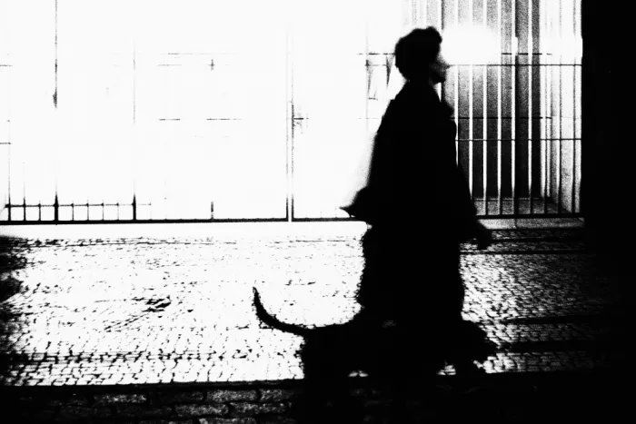 Correia, Rui: Luce dell